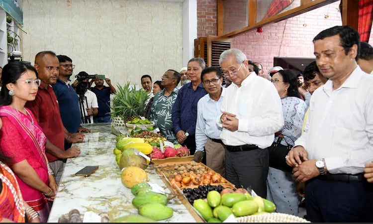 পাহাড়ি ফল শুধু সুস্বাদুই নয়, অর্গানিক খাদ্য : পার্বত্য উপদেষ্টা